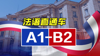法语vip直通车课程