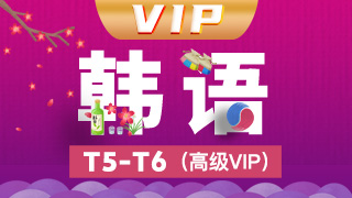 韩语T5-T6高级VIP