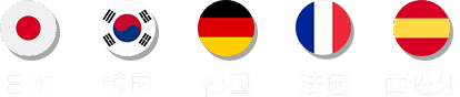 日、韩、德、法、西留学